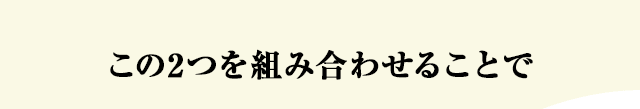 この2つを組み合わせることで