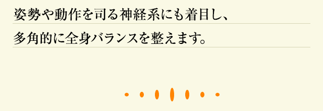 姿勢や動作を司る神経系にも着目し、多角的に全身バランスを整えます。
