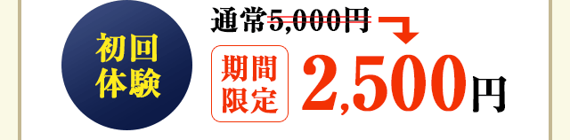 初回体験 通常5,000円が期間限定2,500円！