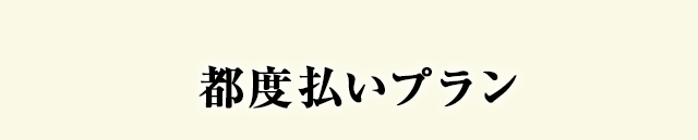 都度払いプラン